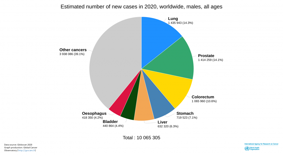 GLOBOCAN 2020 New Global Cancer Data UICC